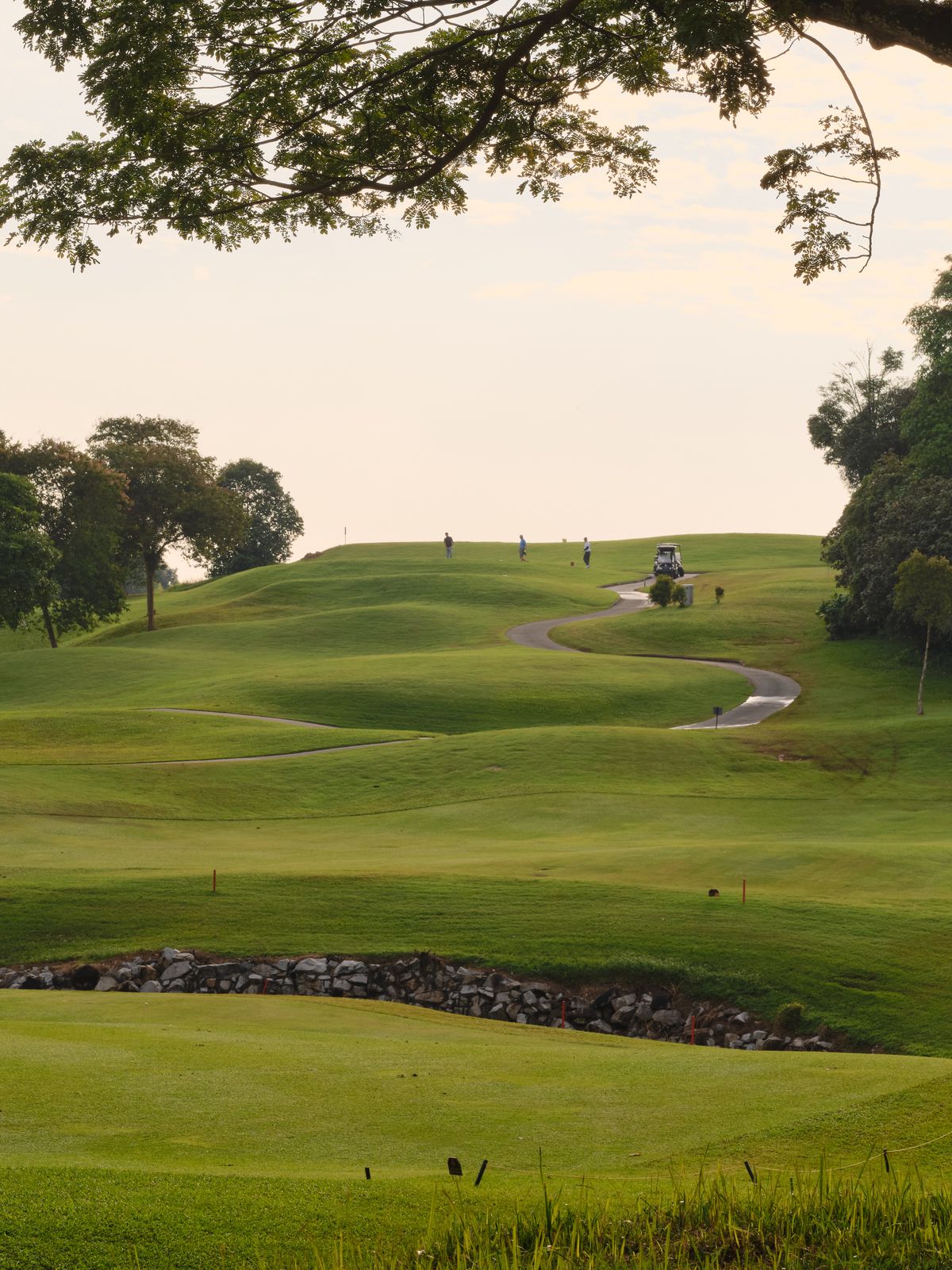 Golf